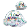 Soft Thicken Baby Gym Activity Play Mat 4-In-1 Newborn Play Mats, Ball Pit Tummy Time Baby Playmat with Toys