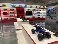 Remote Control Toys.jpg